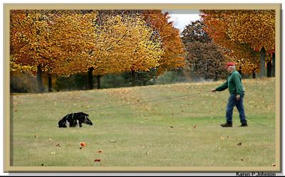 u46/sunfiretervs/medium/35407511.harry3591f1w.jpg