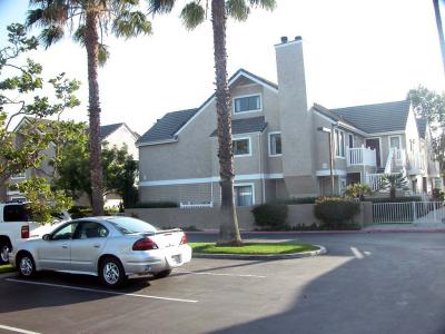 DSCN3832.jpg