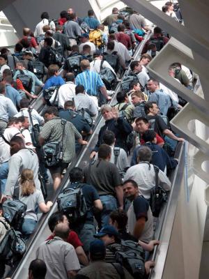 The Crowd
