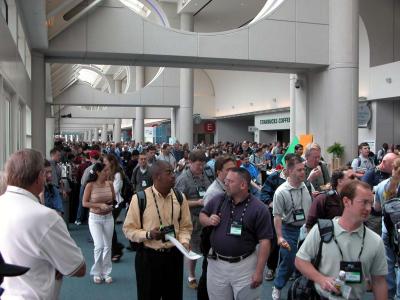 The Crowd