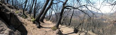 StoneWall: A curve on the trail