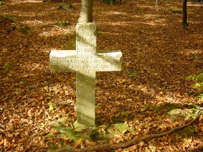 En plein milieu des bois, une croix...