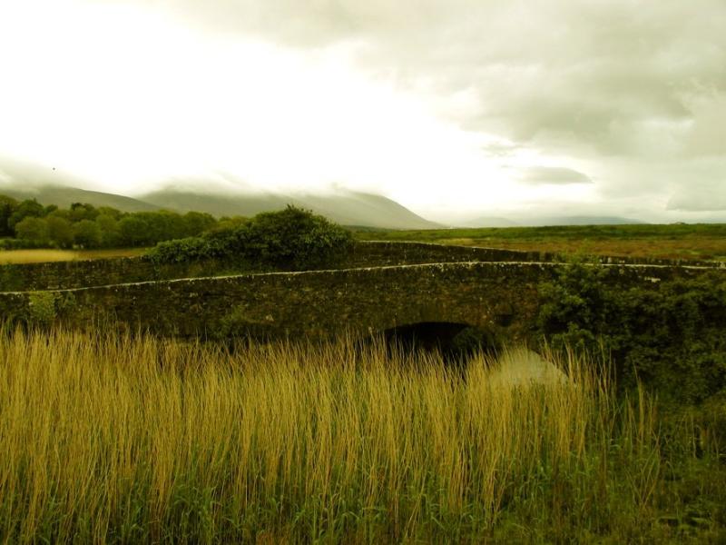 South of Tralee, looking West