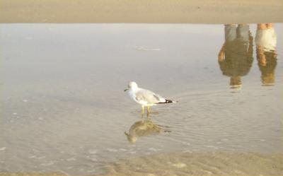 High tide at Lido Beach