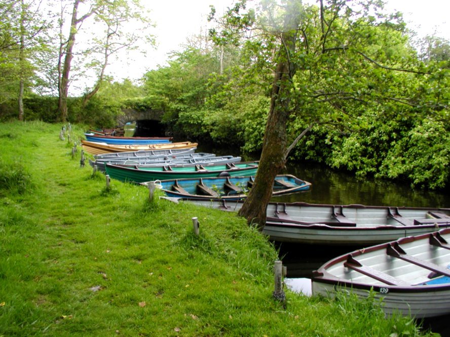 Killarney boat rentals