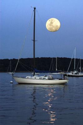 Oyster Bay