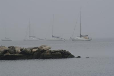 u46/the_birdman/medium/39899511.StamfordinFog.jpg