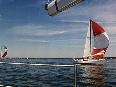 Spinaker