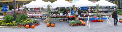 Hartsdale Farmers Market