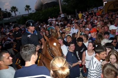 TPD Mounted Patrol