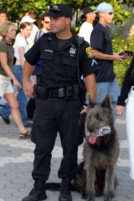 Tampa Police K-9 Drago