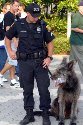 Tampa Police K-9 Drago