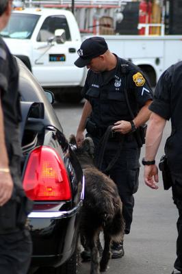 Tampa Police K-9 Drago