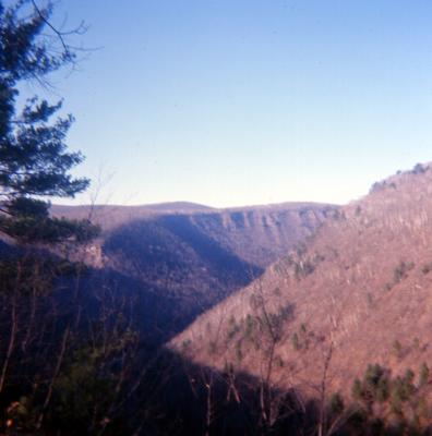 Pine Creek Gorge