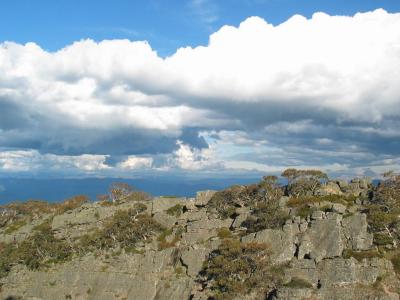 Distinctive Feature of Cobbler