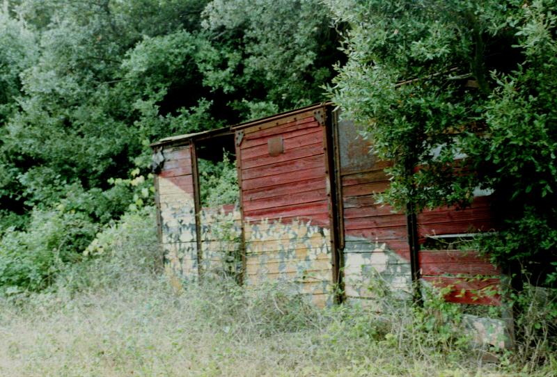 painted shack by the side of the road