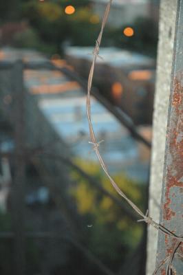 on the way down from the roof