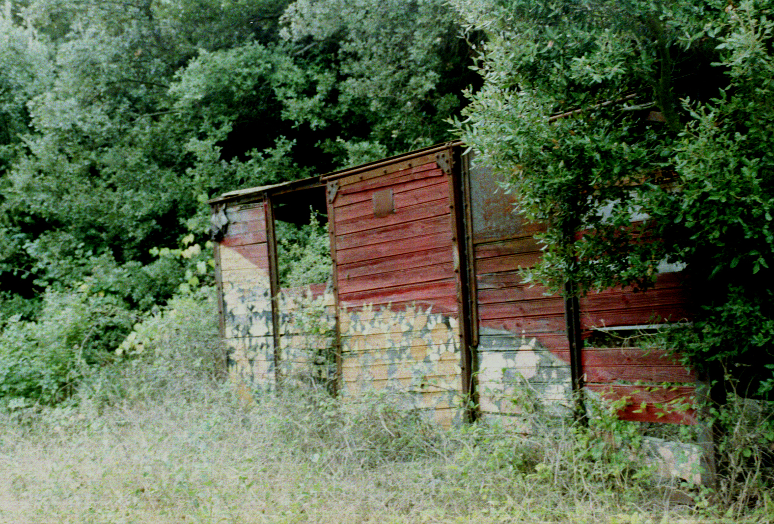 painted shack by the side of the road