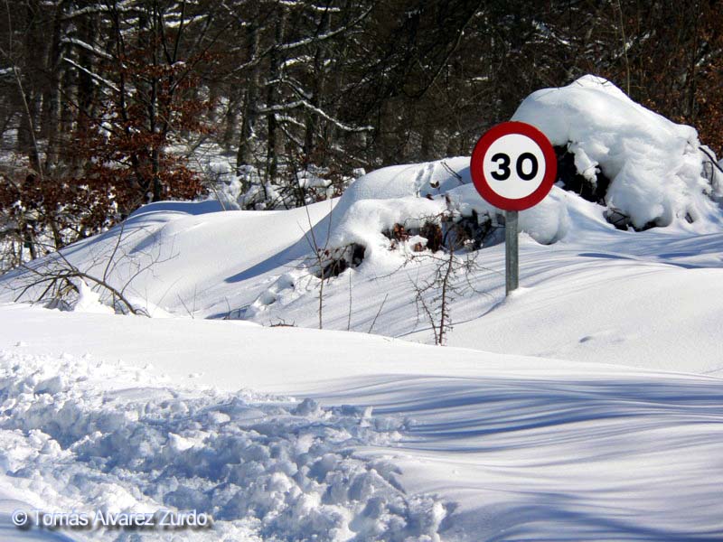 Menuda capa de nieve