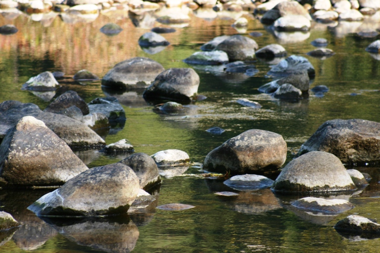 Stepping Stones