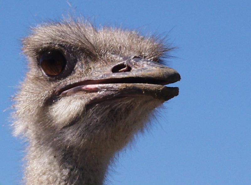 zoo.jpg