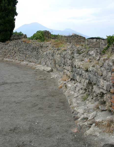 Pompei-Wall-&-Mt.-Vesuvius