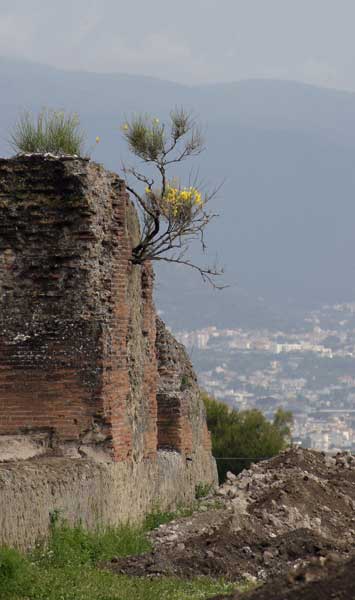 View-from-Pompei-2