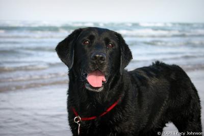 Asia on South Padre Island Beach