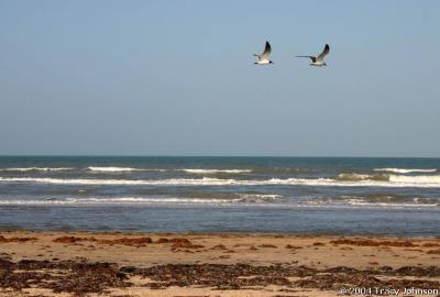 South Padre Island Beach, Texas