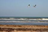 South Padre Island Beach, Texas