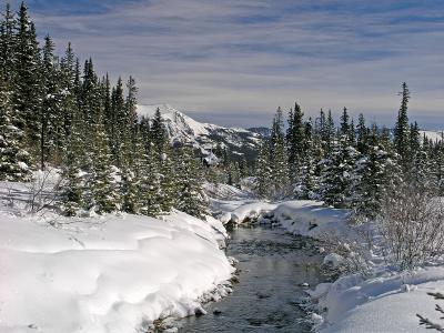 Lake Louise Drive