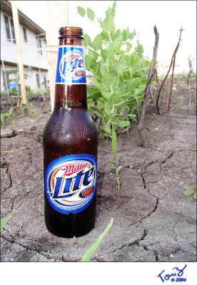 The Garden Likes its Beer Lite