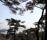 Overlook of Matsushima Bay
