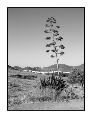 San Jos