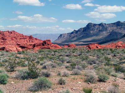 Valley of Fire #6