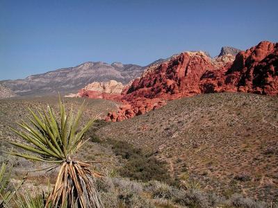 Red Rock Canyon