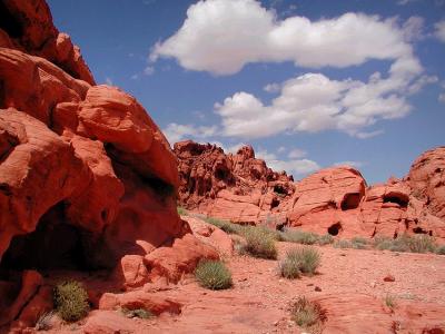 Valley of Fire #7