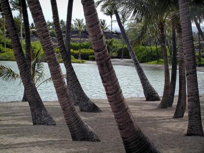 Mauna Lani Fish Ponds.jpg