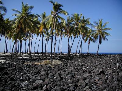 Pu'uhona O Honaunau place of refuge.jpg