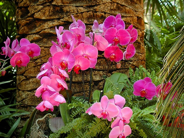 P4110070c