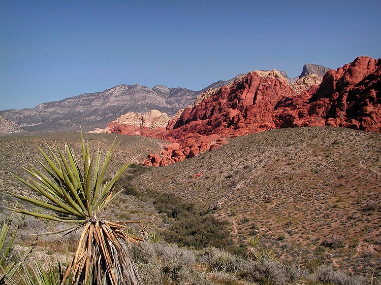 Red Rock Canyon
