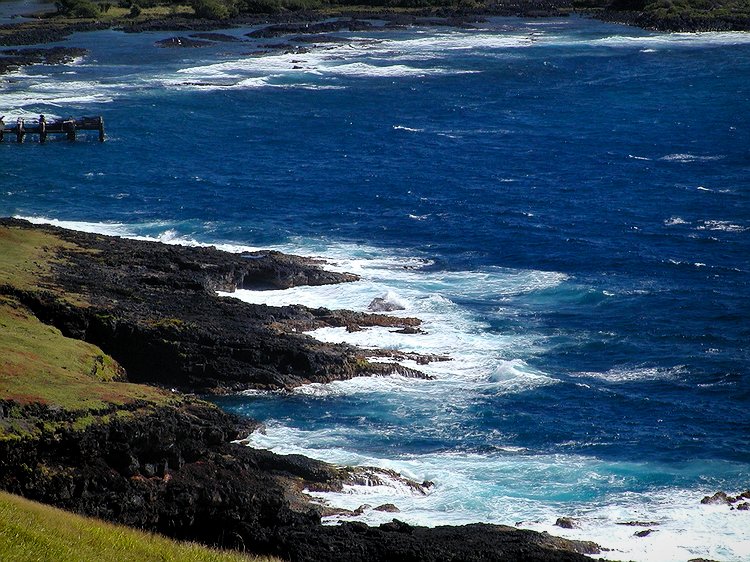 Shore Line near South Point.jpg