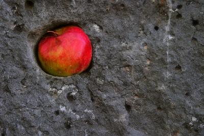 23. Interior -- Apple in Lava