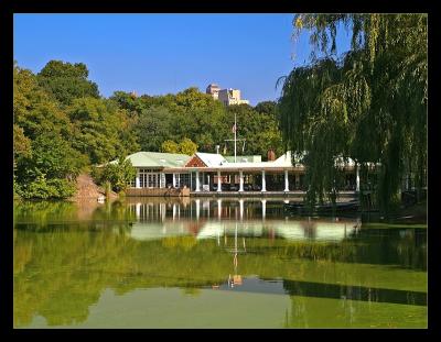 Reflections in Central Park