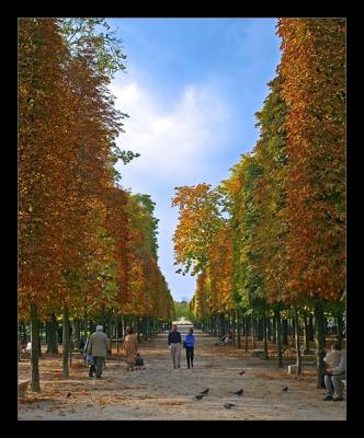 Jardin Tuelleries