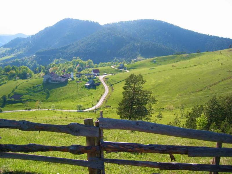 Zlatibor