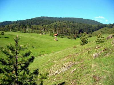 Zlatibor