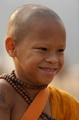 horse monk1239.jpg