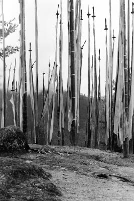 Prayer flags - these are all over the hills