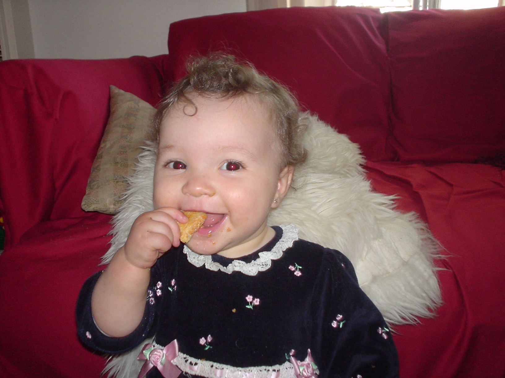 Pizza crust